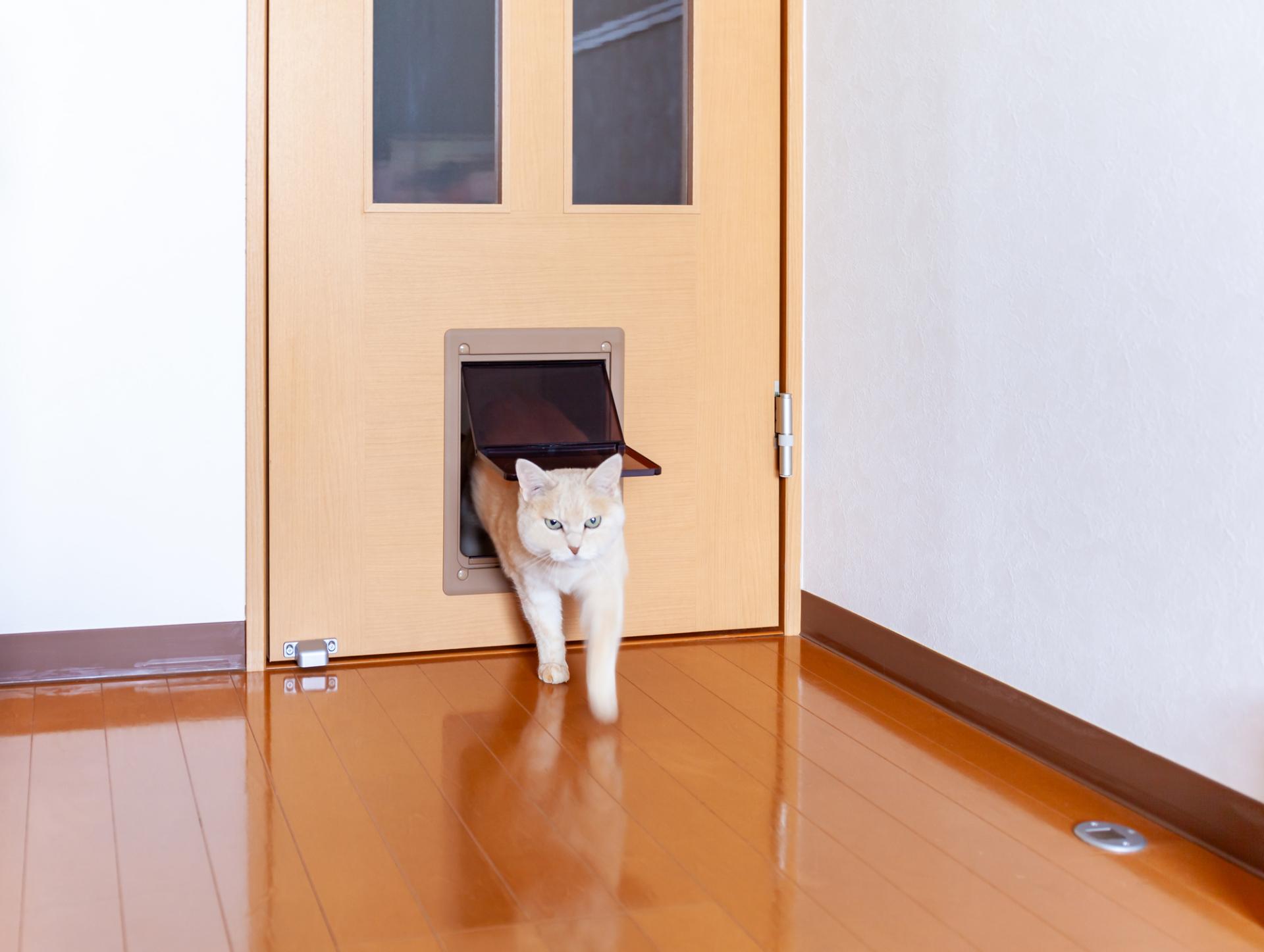 玉野市